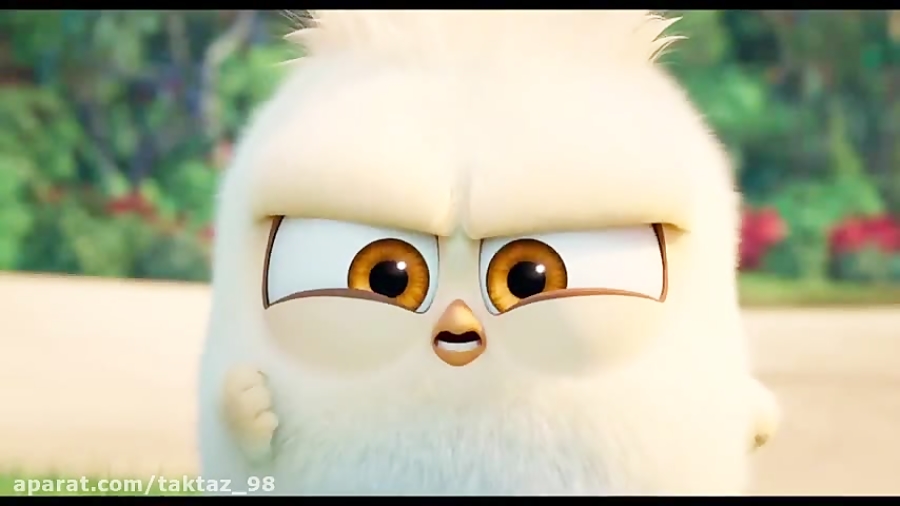 دانلود انیمیشن پرندگان خشمگین 2 The Angry Birds Movie 2 2019 با دوبله فارسی