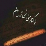 مذهبی،علمی،پزشکی،تفریحی،و......