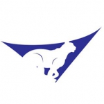 یوزنتورک