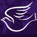 گروه پرنده سفید - WhitBird group