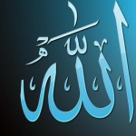 مرتضی ادیبی