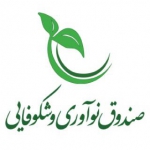 صندوق نوآوری و شکوفایی