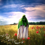 محمدرضا