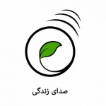 صدای زندگی