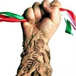 همچی بجز هیچی