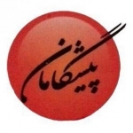 پیشگامان برتر(متشکل از رتبه های تک رقمی)