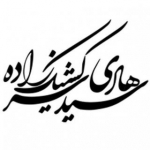 دکتر سیدهادی سرکشیک زاده