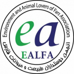 انجمن ایلفا
