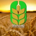 نرم افزار جیره نویسی