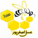 عسل اصغرپور (اورین عسل)