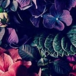 aparat and (awayezendegi) دوبله گروه