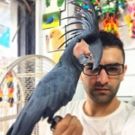 امید شایگان - پرنده فروشی دنیای منقارکج ها پت شاپ طوطی
