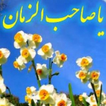 اسلام دوست