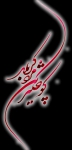 همایش کوچکترین مرد کربلا