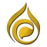 مستضعفین تی وی