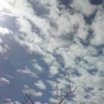 هنگامه ی صبح !
