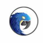 هادی رجبی