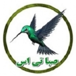 صبا تی اس