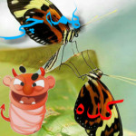 کلیپ های جنجالی