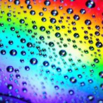 اصول گرای اصلاح طلب