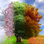 عصای موسی