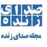 09123122754 - رقابت های استارت آپی کسب و کارهای همسو