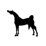 اویش دیش