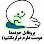 alireza.shni2020