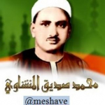 صدیق منشاوی-سعید مسلم