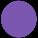 بین24