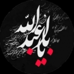 زیارت عاشورا حلال مشکلات عالم