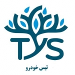 تیس خودرو