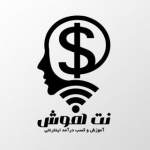 نت هوش