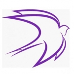 رویازی