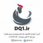 شرکت پرطلایی (دی کیو شاپ)