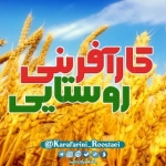 کارآفرینی روستایی