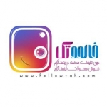 فالوو تک
