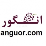 گل فروشی آنلاین ارومیه