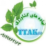گروه تولیدی تی تاک
