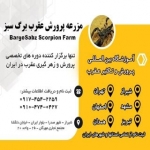 آموزشگاه پرورش عقرب