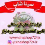 فروشگاه سینا
