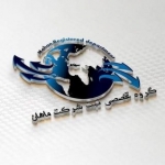 گروه ثبت تخصصی شرکت ماهان در سراسر کشور