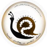 گروه آرایشی و بهداشتی آویسا
