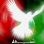 سیدحامد۷۲- پازل ظهور در حال تکمیل است.. اندکی صبر..