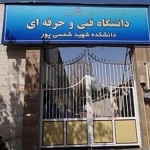 علی ویسی