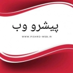 پیشرو وب | طراحی سایت ارزان