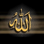sarbaz_hossein_313