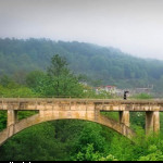 شیرگاه خبر