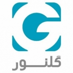 شرکت گلنور