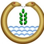 edu_gums